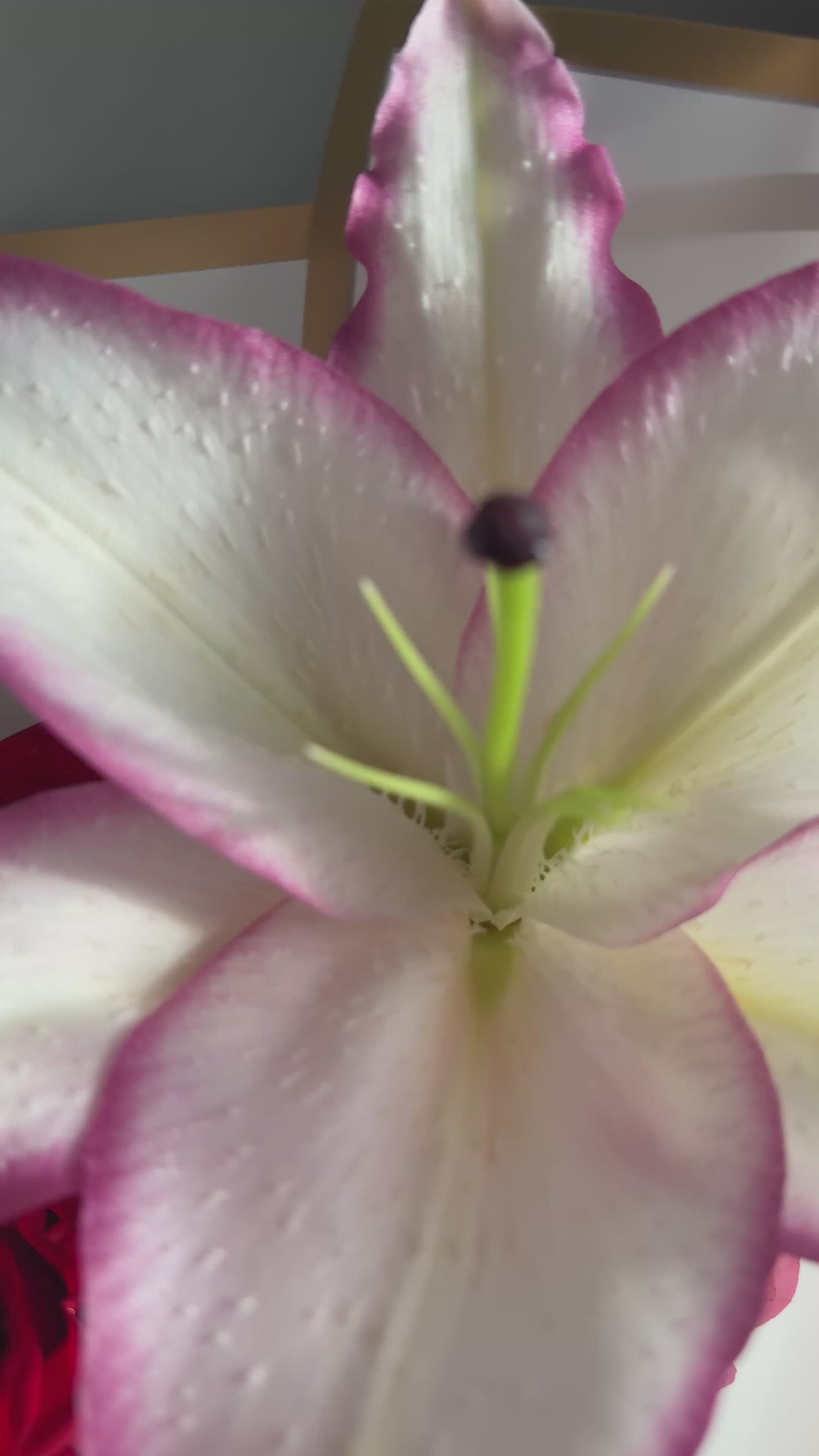 Birthday Blooms Bouquet