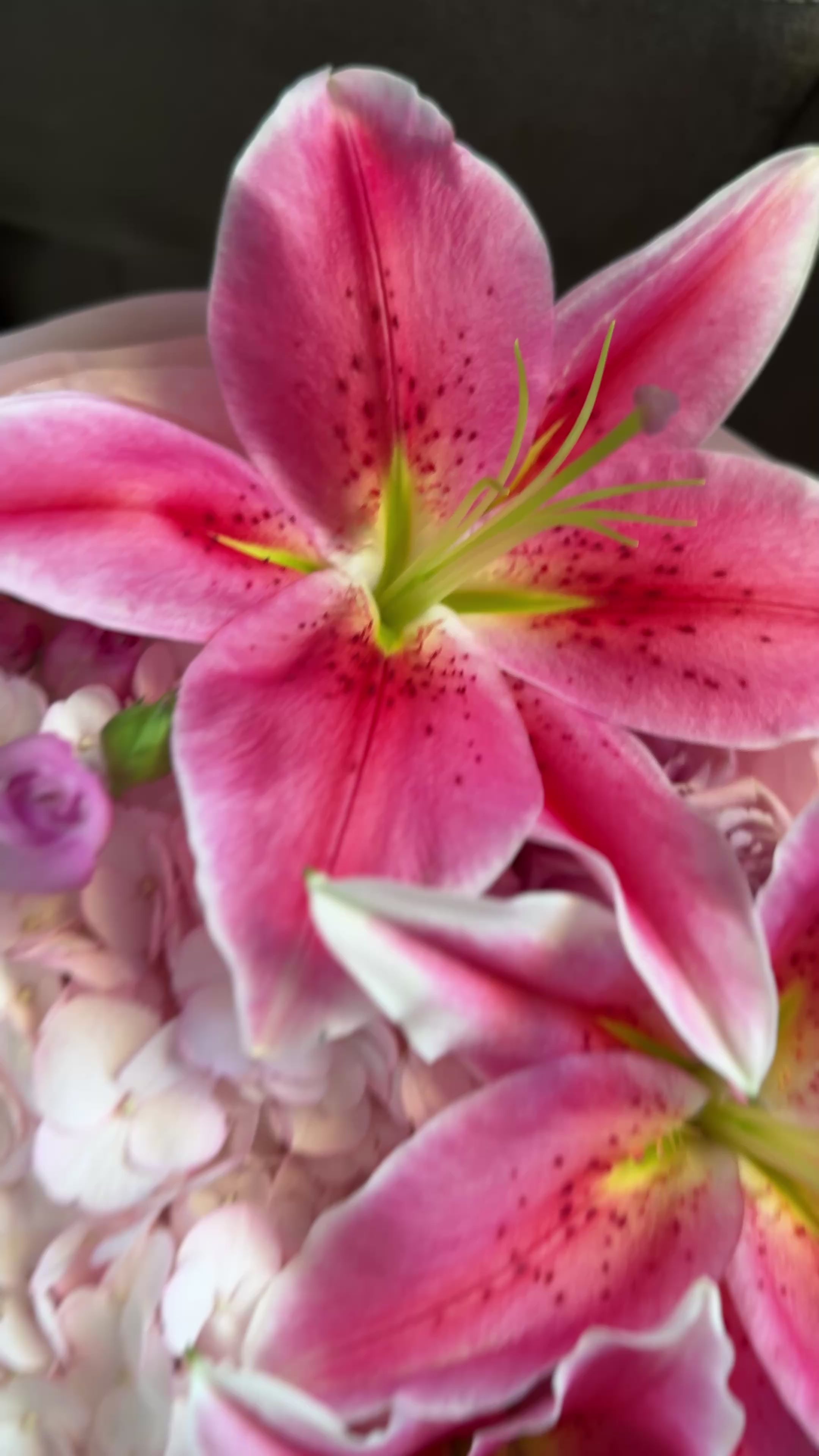 Full of Love Pink Blooms Bouquet