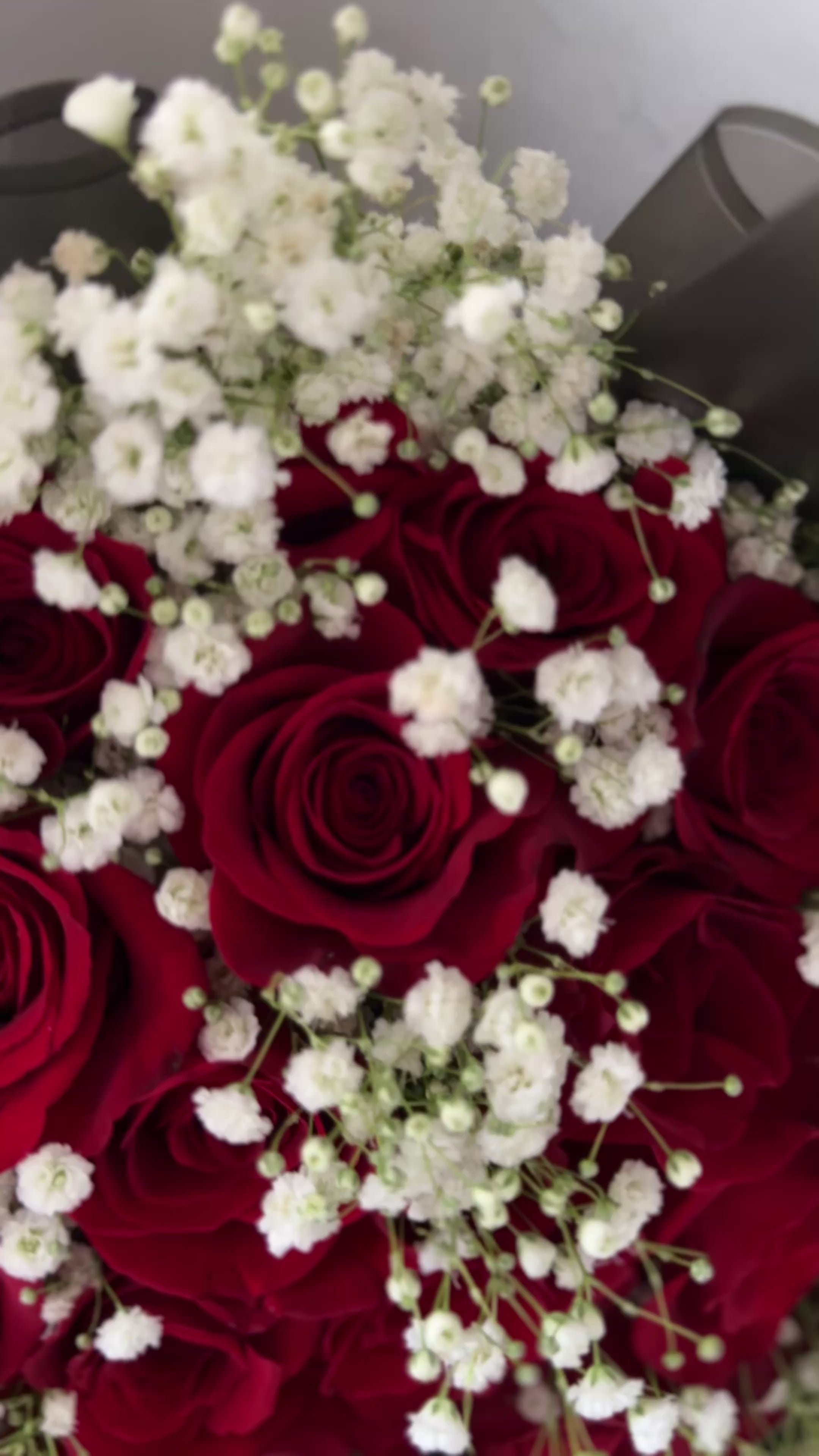 24 Red Roses With Baby’s Breath Bouquet